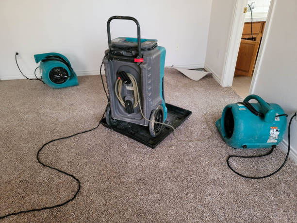 Best Local water damage restoration  in Nederland, TX