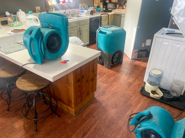 Best Flood damage cleanup  in Nederland, TX