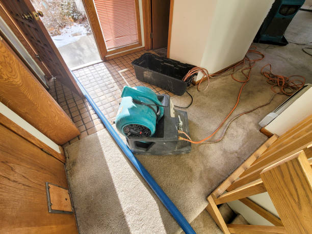 Best Mold removal after water damage  in Nederland, TX