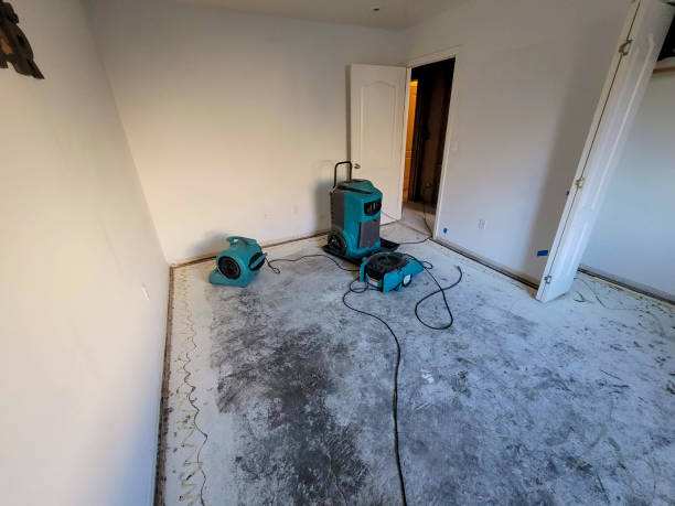 Best Emergency water damage restoration  in Nederland, TX
