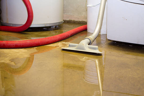 Best Water damage cleanup near me  in Nederland, TX