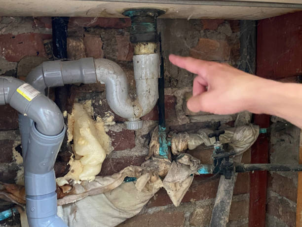 Best Ceiling water damage repair  in Nederland, TX