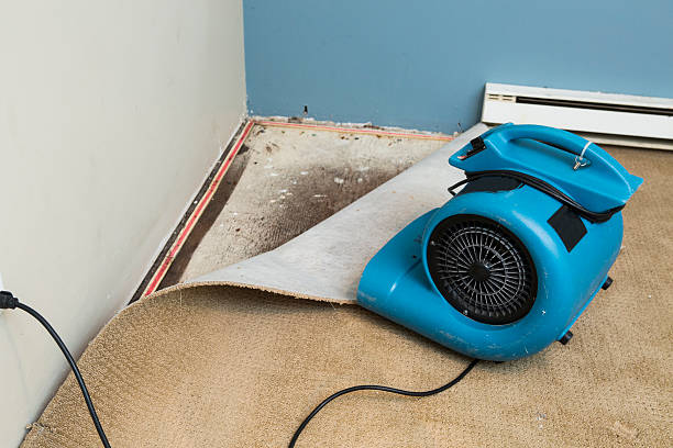 Best Sewage cleanup and water damage restoration  in Nederland, TX